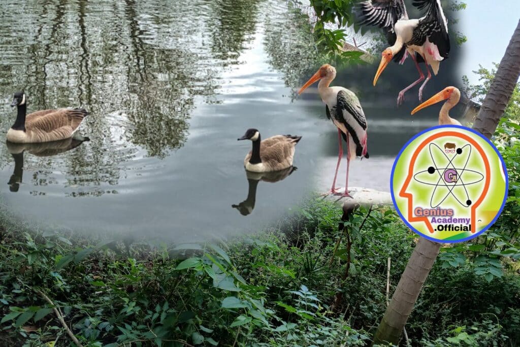Sarotar Lake to Become Bihar’s Third Wetland