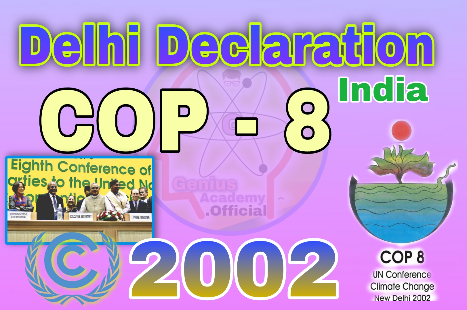 The-Delhi Declaration Significance and Controversies at COP-8
